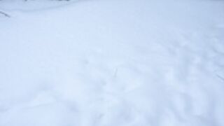 vivid_whit does a snow angel