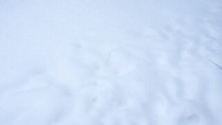 vivid_whit does a snow angel