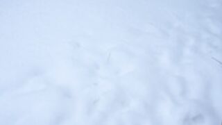 vivid_whit does a snow angel