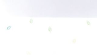 aliceporter 005