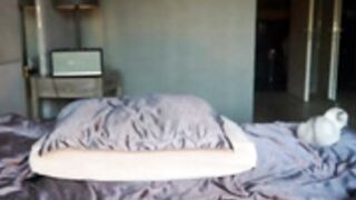 MFC/CB - Brandiloveee 120