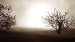 Fbb Unknown Muscle Babe Assfucked by Mysterious Man