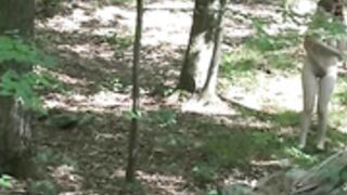 ENF Harry Potter ripoff