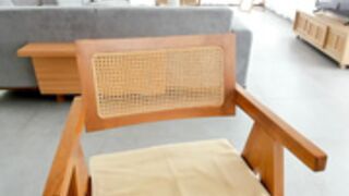 Carolinaherera  2023-04_02