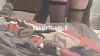 BunnyTrainer Training Session 1 Part 3