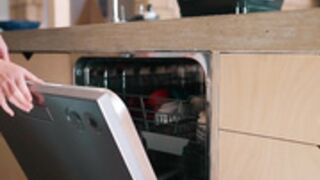 Isabelle Deltore, FitKitty