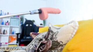 _Timeless_Paradox 2023-03-13