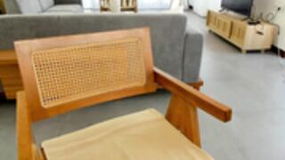 Carolinaherera 2023_03_04