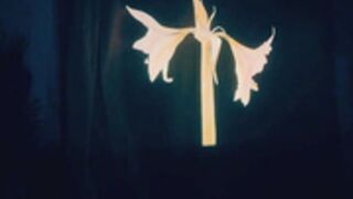 douxtease 21-09-2020