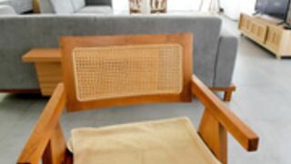 Carolinaherera  2023_03-02