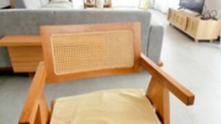 Carolinaherera 2023-02 19