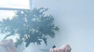 trippie bri 36