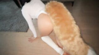 RaileyTV Fox Tail and Ears