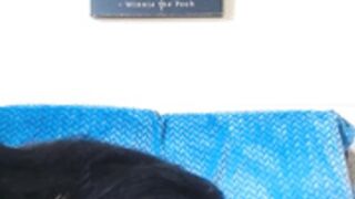 MarissaEmeraldd Streamate 2024-01-11_20-15-43