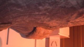 Aprilme_2024-07-22-09-56-09.mp4
