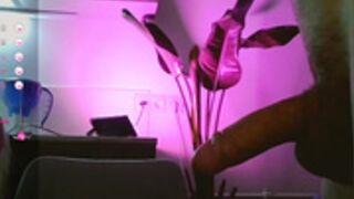 Wladilia BJ Facial 2024-07-20