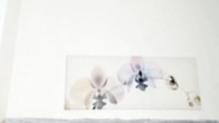 Infinite_Reality 20240801（1）