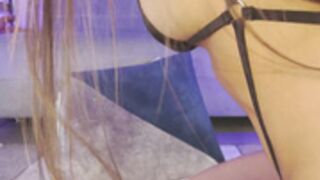 Alexaporter 7.6.24 (2) - domi doggystyle