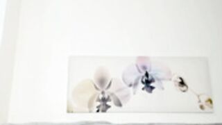 Infinite_Reality 20240811（4）