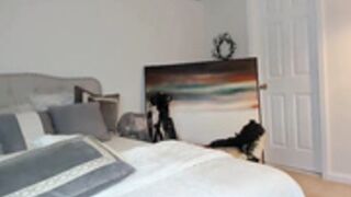 glorialamour_official 001