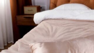 MFC/CB - Roxy_Blue_Eyed_ - Roxana_Dream 501