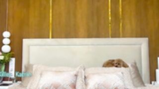 MFC/CB - Killer__Tits 100