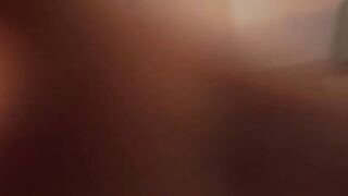 CB - Nova / n_o_v_a 44