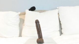 EatMyGingerSnapps 24.08.20 002