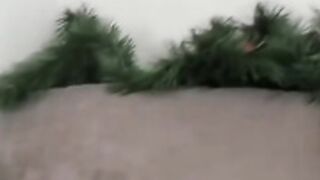 Davina 230114 0545 DoggyPose