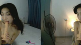 Trisharey plays with your cock in VR