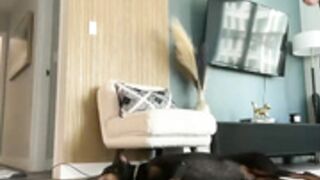 Graciemae_Baexx 24.06.24 003
