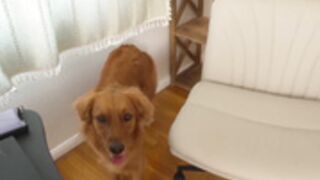 MaryMoody 24.07.05 002