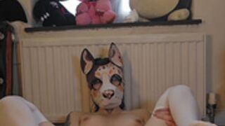 Pup fucks a knot dildo