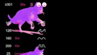 Hotties_Kittens18 24.09.28 002