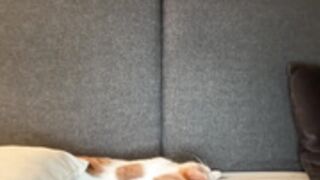 eternal_infinite 20240816