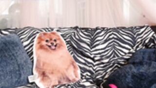 000137, 0037, cbsiswet19cb