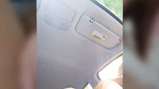 SC - Kalli_Fornia 42