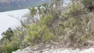 Emily Rinaudo Outdoor BG Sex