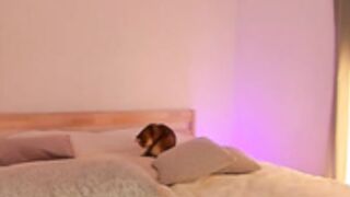 CB - love_melody 197