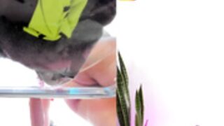 000361, 0083, cbafrodita_p_cb