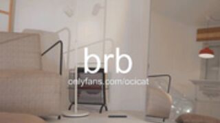 ocicat 2024-09-16 23-57-007