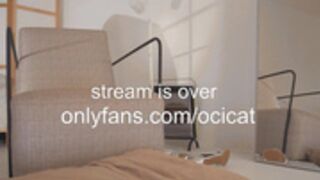ocicat 2024-09-16 23-57-007