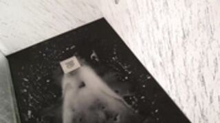 000588, 0031