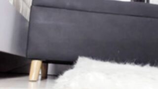 nathalyrae41 2024-10-10 17-41-003