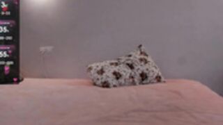 sundaey cookie alice