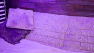 CB - fantasystudiox 49