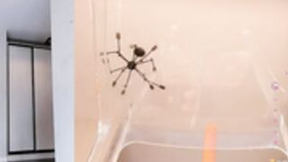 CB - doseofhappiness 43