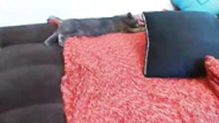 holly_and_honey anal fuck