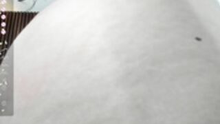 gisel3_moss_2023-11-16_18-50