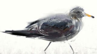 e_______ (4) 19.10.24 | Topless, stream